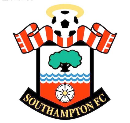 他们在强调 他们在强调